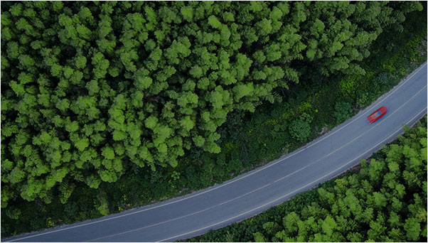 Sustainable Development
